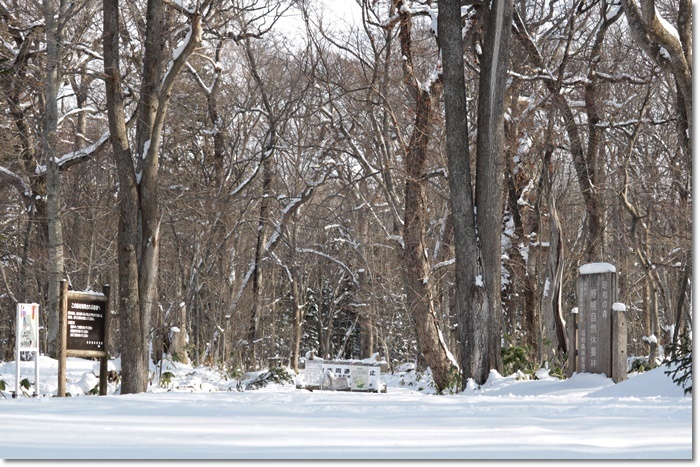 野幌森林公園(’20・1・22)_f0146493_23245178.jpg