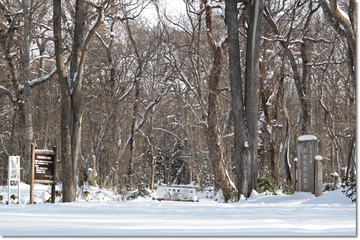 野幌森林公園（’２０・１・２２）_f0146493_23245178.jpg