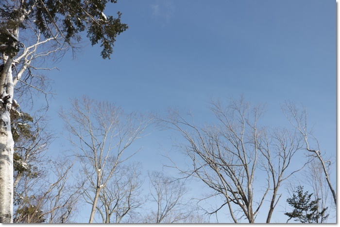 野幌森林公園（’２０・１・２２）_f0146493_23272529.jpg