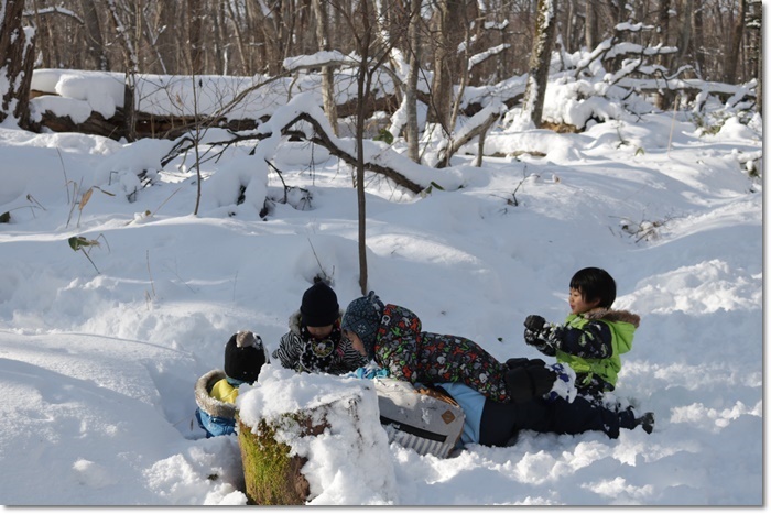 野幌森林公園（’２０・１・２２）_f0146493_23285740.jpg