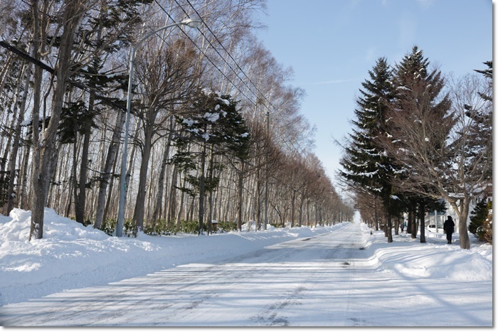 野幌森林公園（’２０・１・２２）_f0146493_23290431.jpg