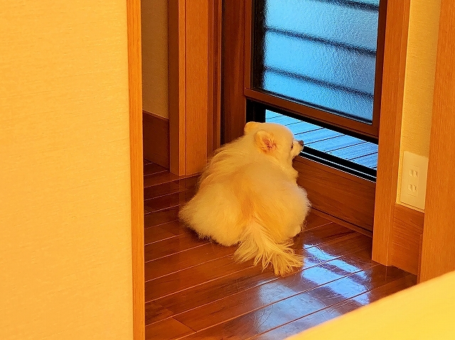 アンニュイ_d0360206_00204762.jpg