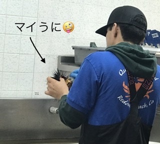 動くSea urchin ウニウニ…_b0365715_13010687.jpeg