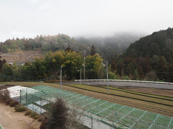 雨のち一時日が射しのち曇り_c0116915_22281914.jpg