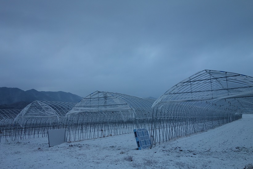 雪の少ない冬_e0112417_16074590.jpg