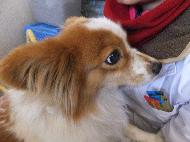 _f0078320_00473441.jpg