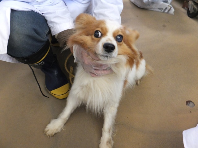 _f0078320_00475960.jpg