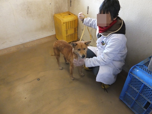 _f0078320_00510670.jpg