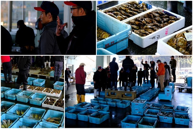 「東舞鶴　魚源（ととげん）のずわい蟹、牡蠣、ブリしゃぶ料理」_a0000029_22483953.jpg