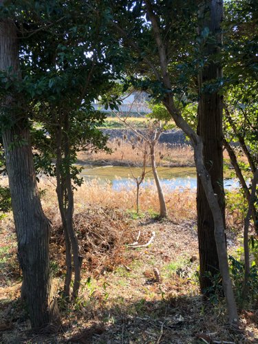 家ものがたりめぐり、M hut へ。_e0021031_19081457.jpg