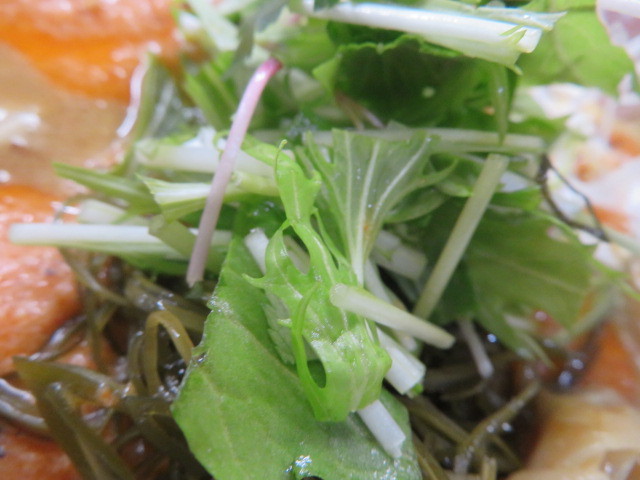 【限定】エビ味噌らーめん@青波_a0389150_21061400.jpg