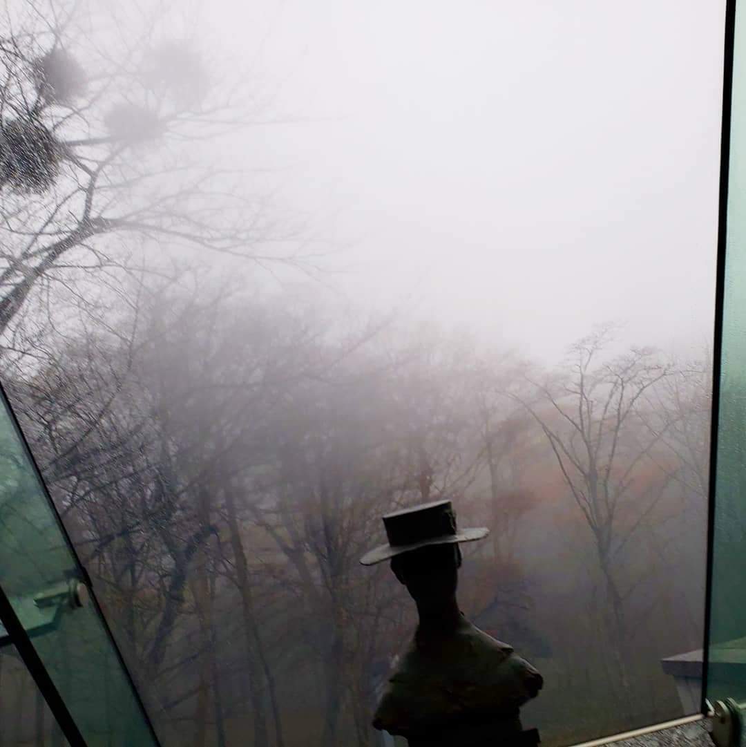 濃い霧に漂うポーラ美術館_e0334462_19410142.jpg