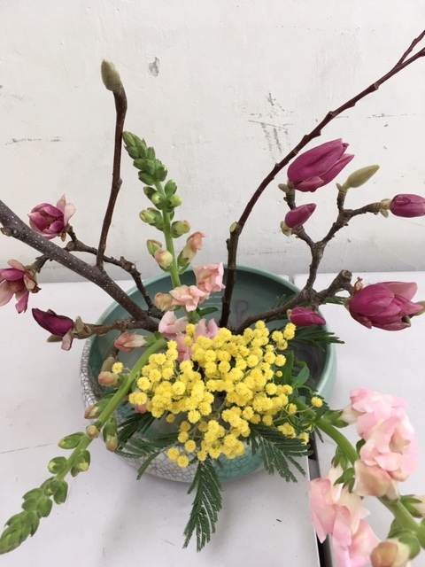 マグノリアにミモザをあしらった生け花_e0350971_12511859.jpg
