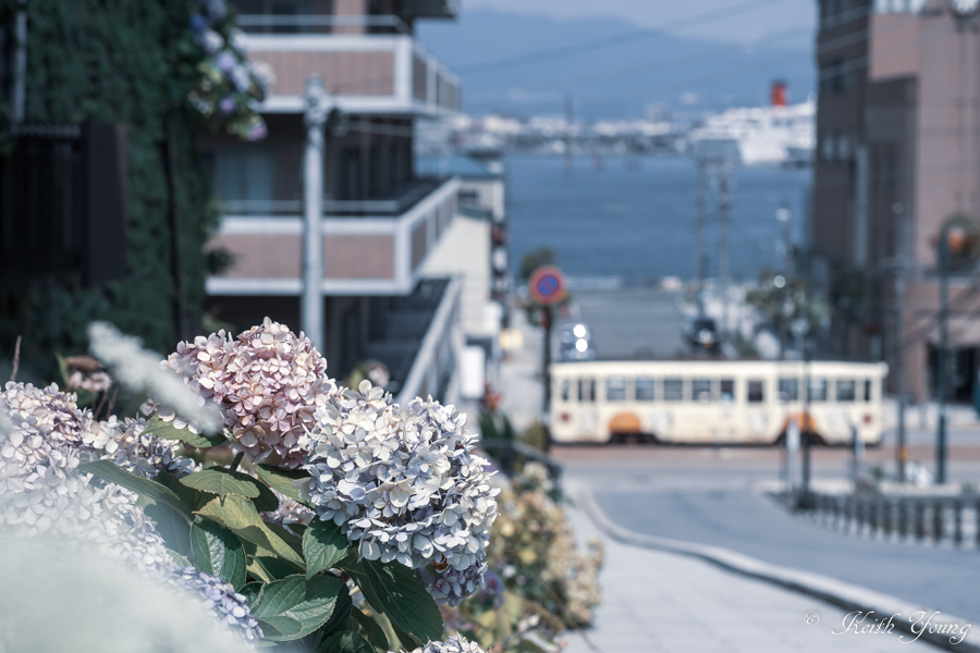 1センチ_e0338273_20195613.jpg