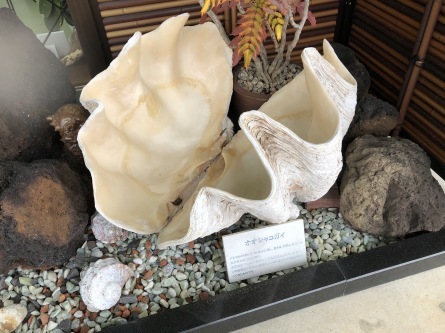 1/23 店長日記_e0173381_18015858.jpg