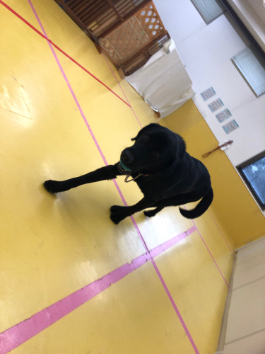 雨が降っても遊ぼうぜ!!_f0357682_13533779.jpg