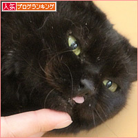 しあわせの白しっぽ_a0389088_03334669.jpg
