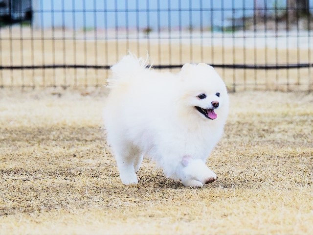 たなぼた_d0360206_23253436.jpg