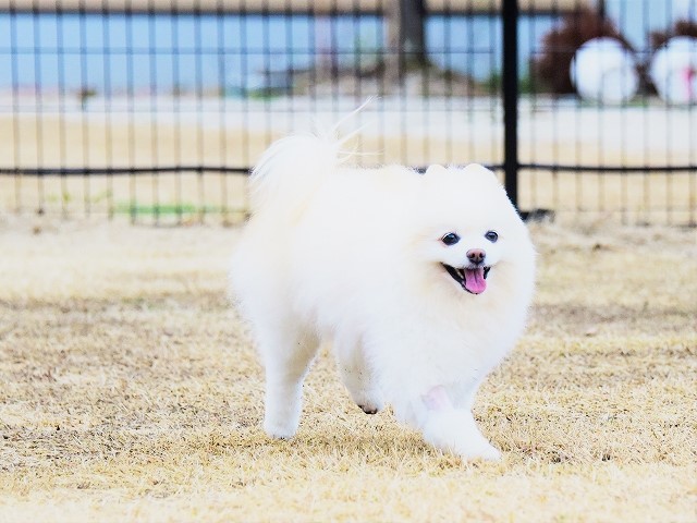 たなぼた_d0360206_23253950.jpg