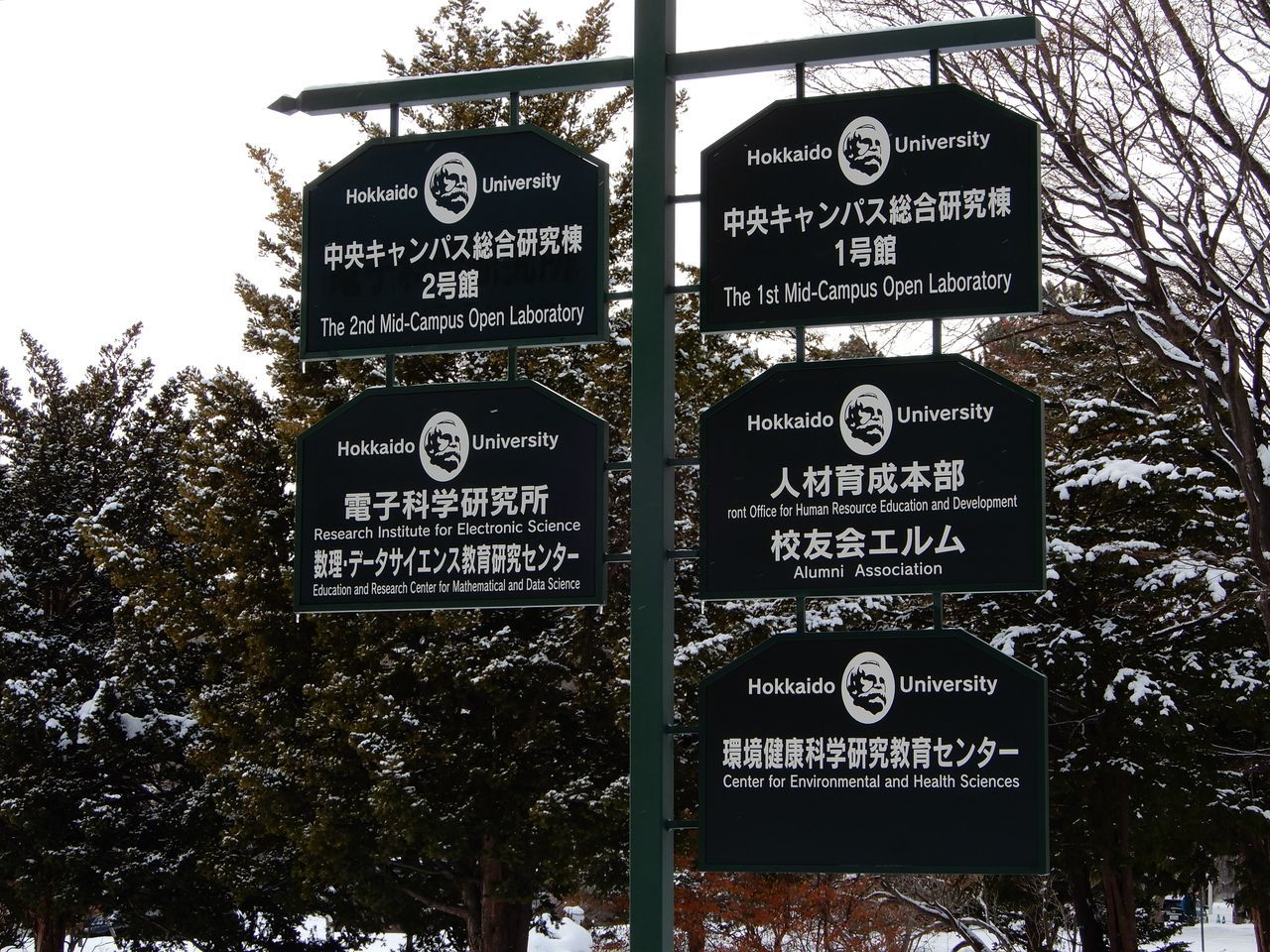 今年はじめての北大キャンパス_c0025115_22455290.jpg