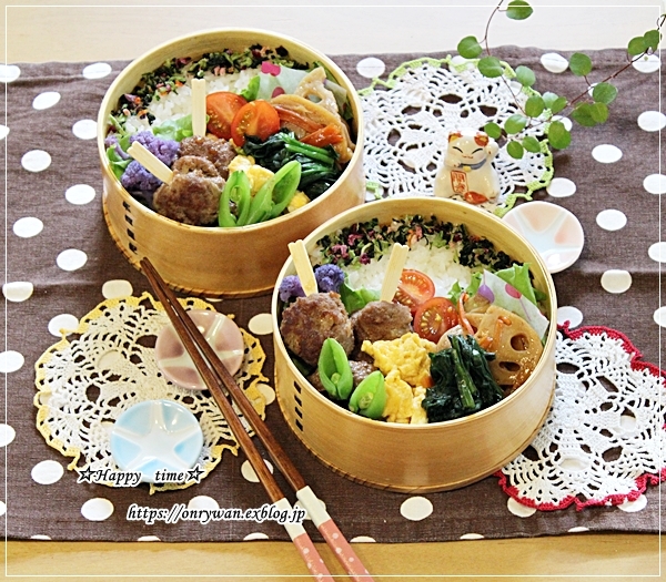 一口ハンバーグ弁当とリク♪_f0348032_17535121.jpg