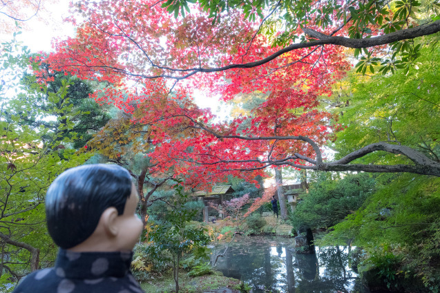 キラク写真教室 秋の金沢 撮影会① 金沢城周辺_e0369736_09282246.jpg