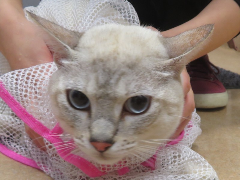 1 月 24 日の写真_c0174644_10365612.jpg