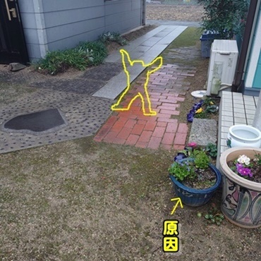お守りと白鳥_b0151748_10143854.jpg