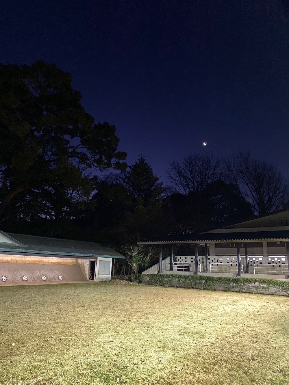 空は、いつか、晴れるから_c0113755_13220511.jpeg