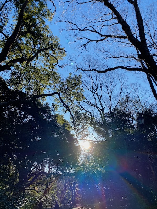 空は、いつか、晴れるから_c0113755_13220534.jpeg