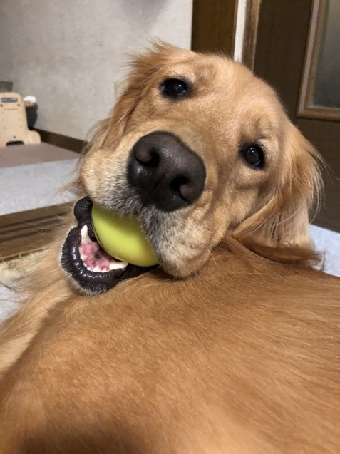 週末に思う_a0394574_23492019.jpeg