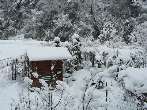 昔の雪景色_e0365880_20165838.jpg