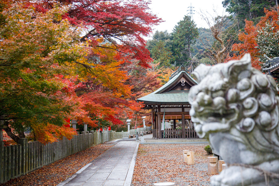 紅葉2019！　　～桑田神社～_b0128581_18452337.jpg