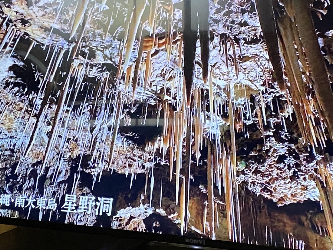 チコちゃんに叱られる!2020.1.24_e0065084_21582116.jpg