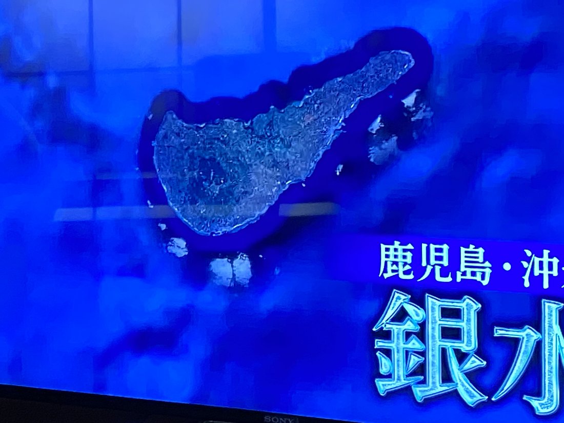 チコちゃんに叱られる!2020.1.24_e0065084_21583560.jpg