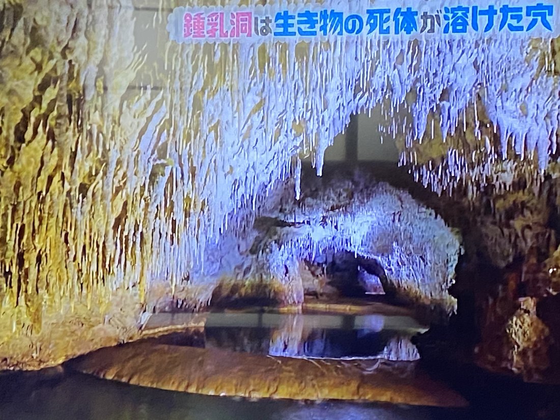 チコちゃんに叱られる!2020.1.24_e0065084_21584934.jpg