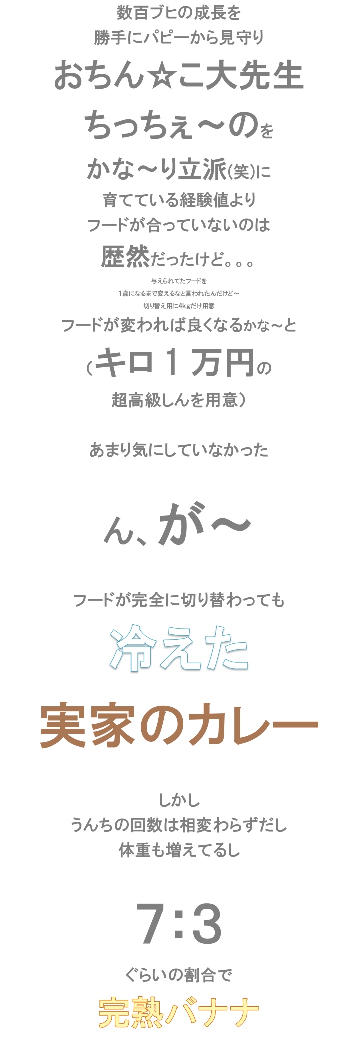 １月２３日 下痢は続くよ いつまでも ちんたかたった Feat じゅっ