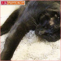 今年こそ、やせる_a0389088_03021025.jpg