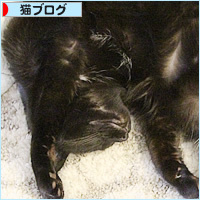 今年こそ、やせる_a0389088_03021087.jpg