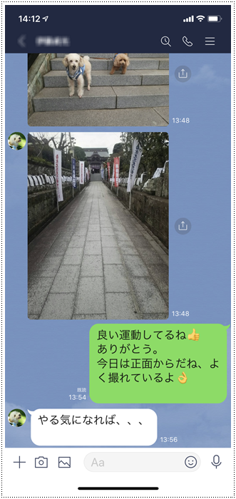 今日は三か月に一度の大の眼科診察日、異常なくて良かったね、これからも薬と診察、頑張ろうね。_b0175688_19390821.png