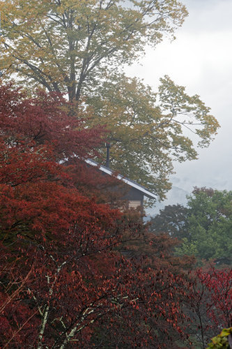 雨の吉野山①_e0366896_00004402.jpg