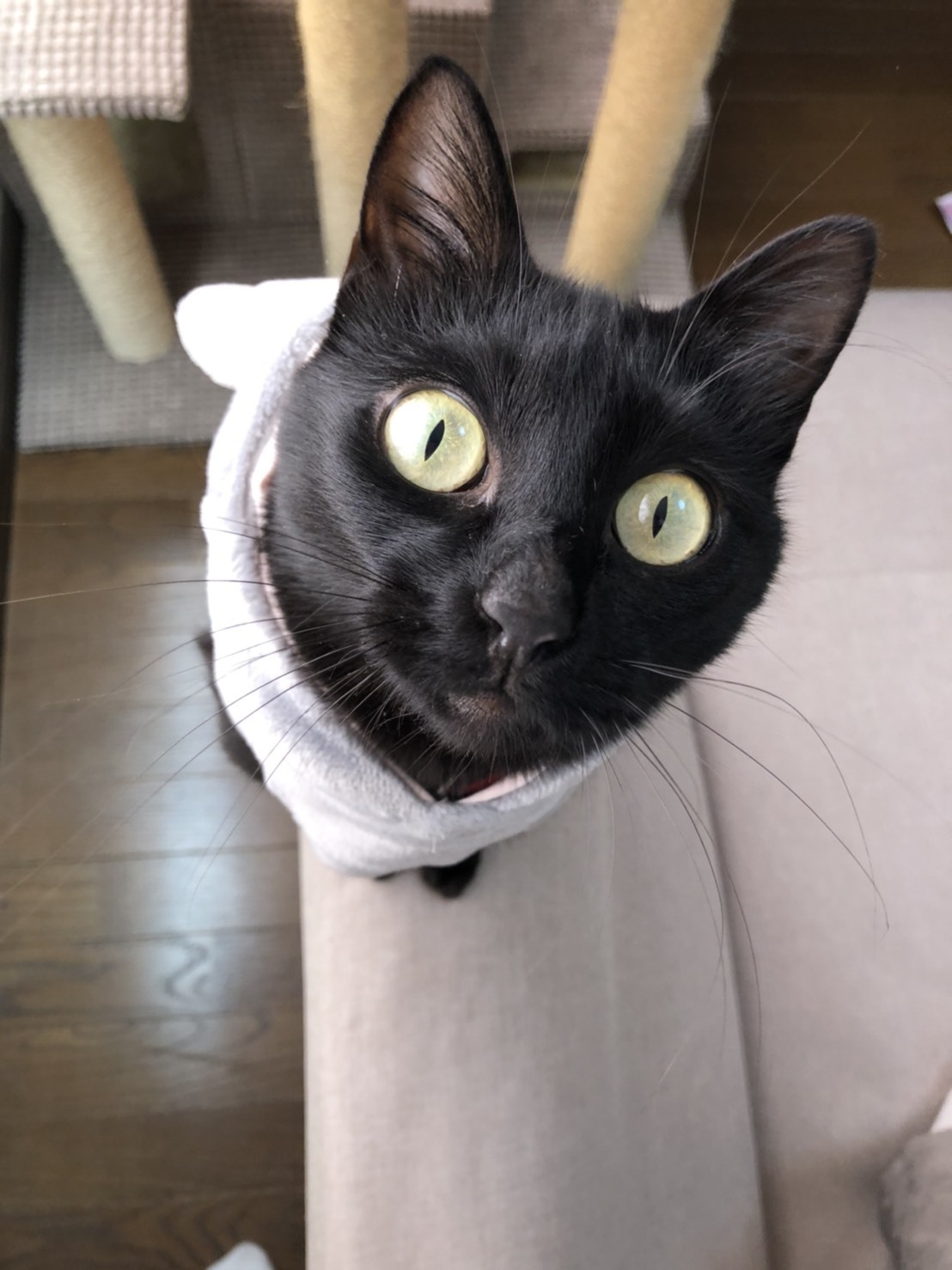 徒然なるままに_d0178999_17242314.jpeg