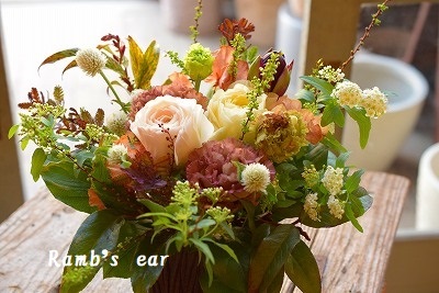 すべての美しい花の画像 新鮮なラムズイヤー 花屋 すべての美しい花の画像 新鮮なラムズイヤー 花屋