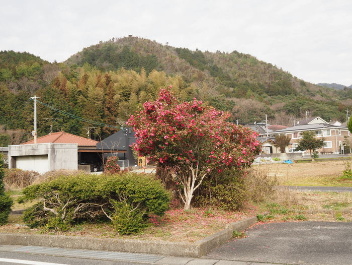 鞍掛山登山_c0116915_23554359.jpg