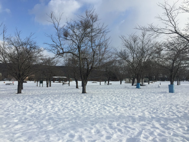 今年は雪の降る日が少ないです。_a0206621_09052251.jpg