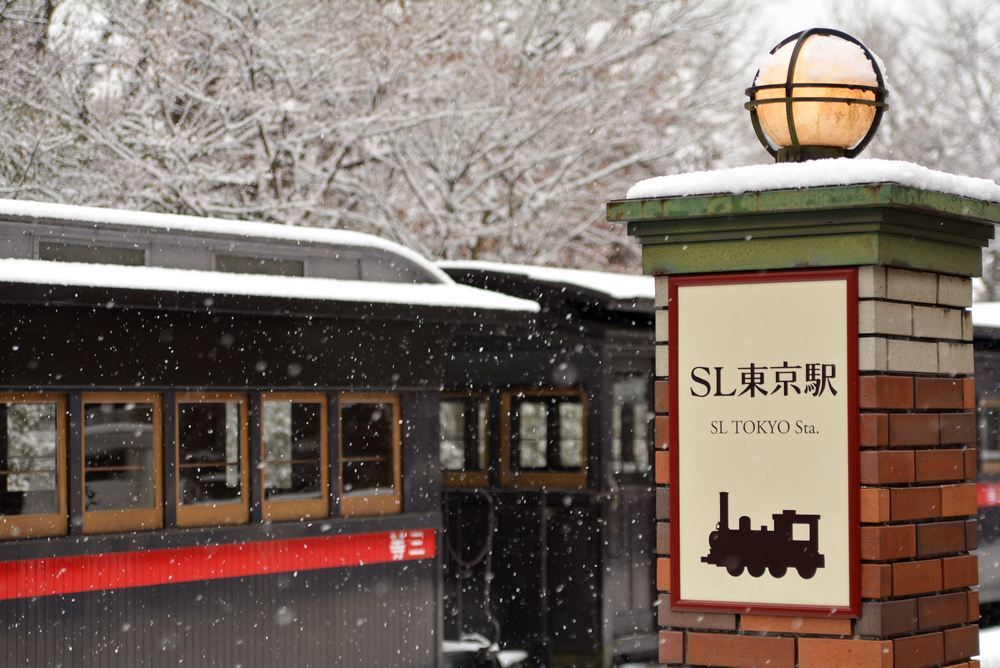 雪景色 2018年末 SL東京駅_e0373930_17460525.jpg