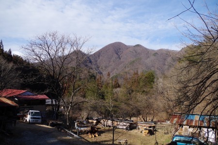 春ですか?_f0114346_06511295.jpg