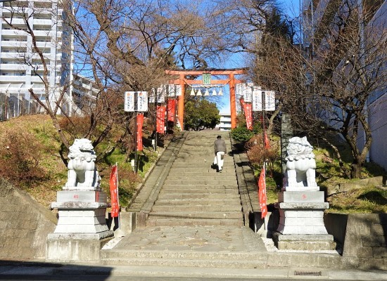 願いの 花_e0406450_14172630.jpg