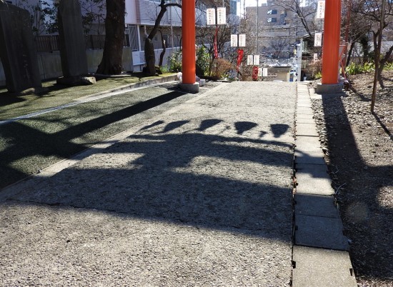 願いの 花_e0406450_14175971.jpg