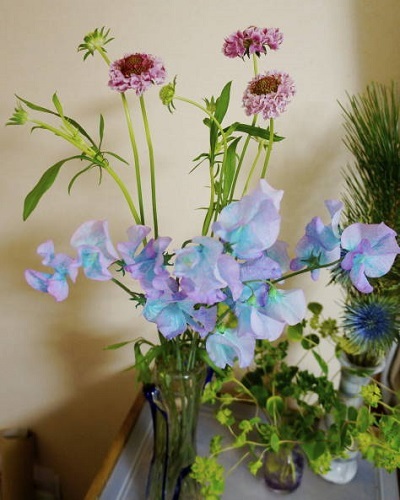 1月のお花 その5 日々綴り 1月のお花 その5 日々綴り
